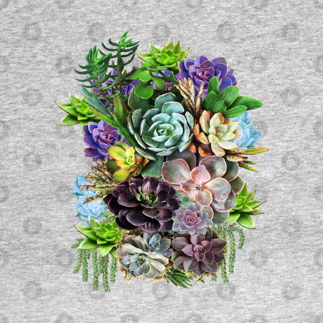 Succulents on show by Just Kidding by Nadine May